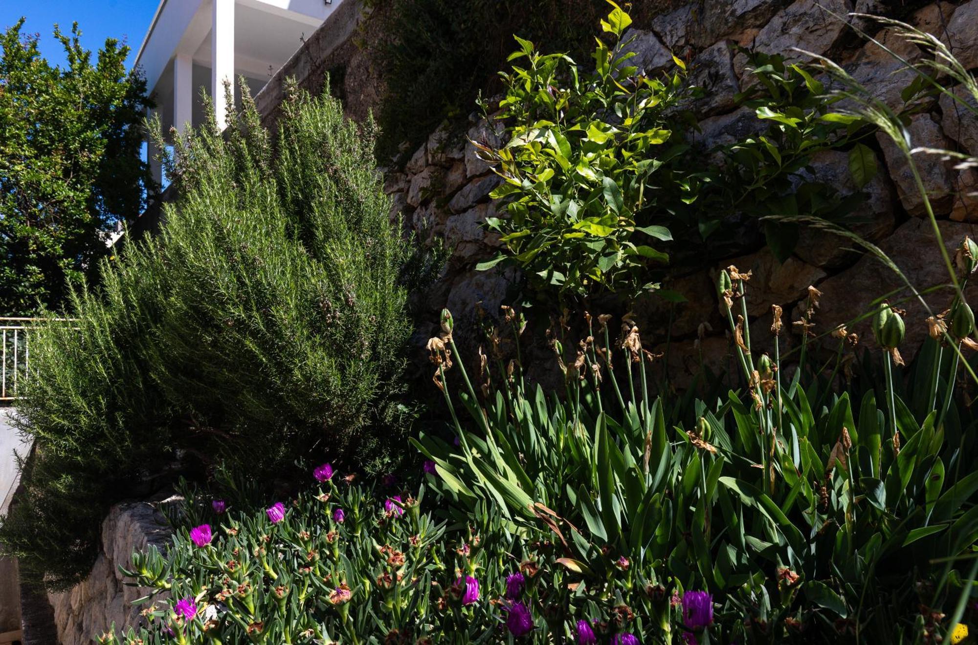 Marlea Sea-View Apartments Dubrovnik Bagian luar foto
